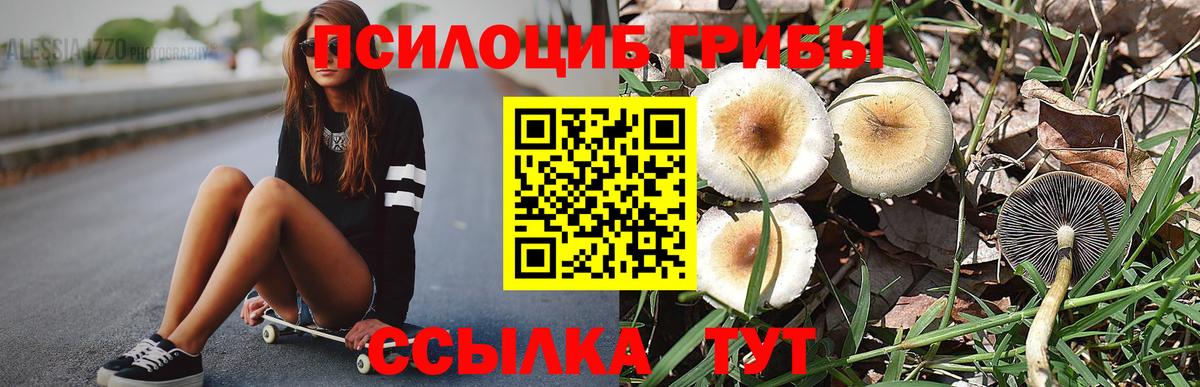 Калуга  Галлюциногенные грибы Cubensis  Вход с VPN 